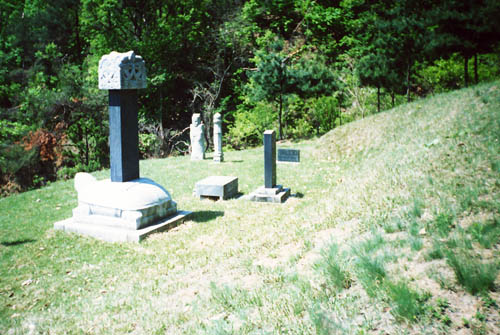 t2051_01.jpg
