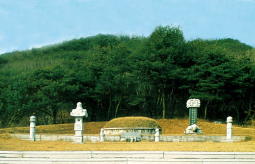 t2151_01.jpg